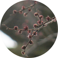 circle-image_elm7_200