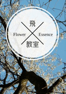 飛ぶフラワーエッセンス教室