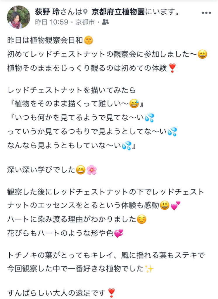 レッドチェスナット観察会の感想