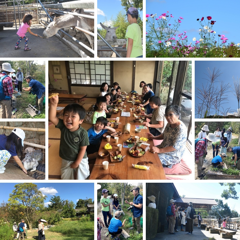 秋の花観察会