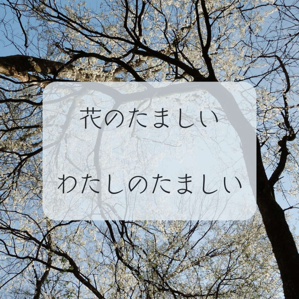 仲間の存在、花への感謝