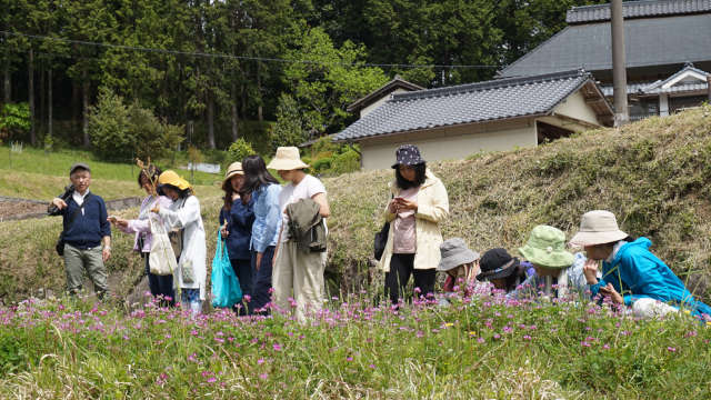 花と出会う
