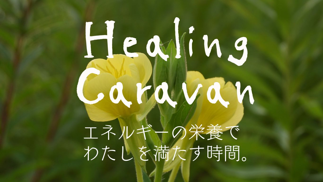ヒーリングキャラバン
