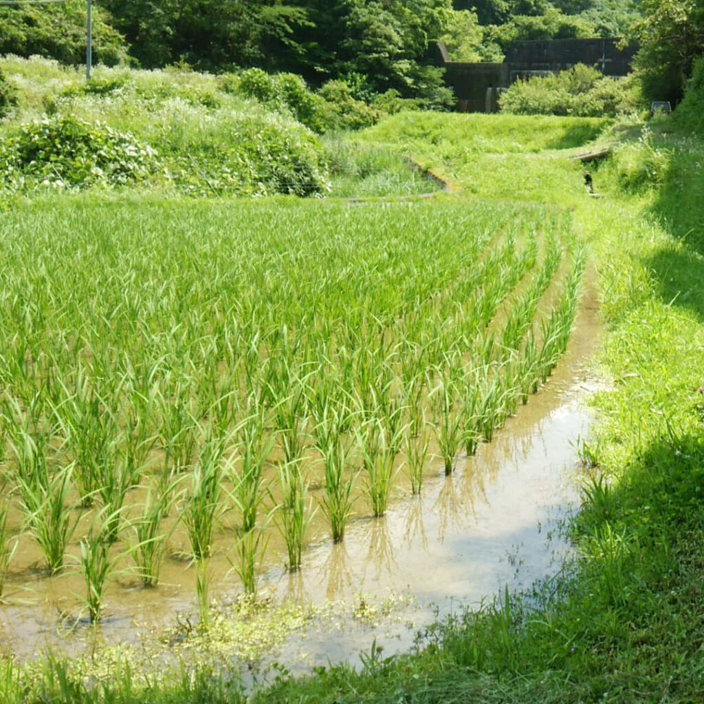 受け渡されたもの:「集中研修」が形になった経緯