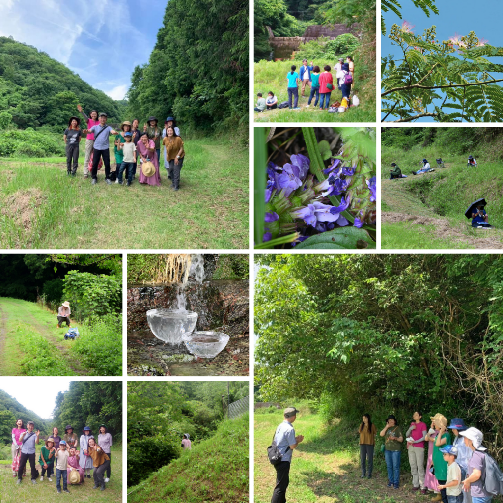 土とたましいを結ぶ根