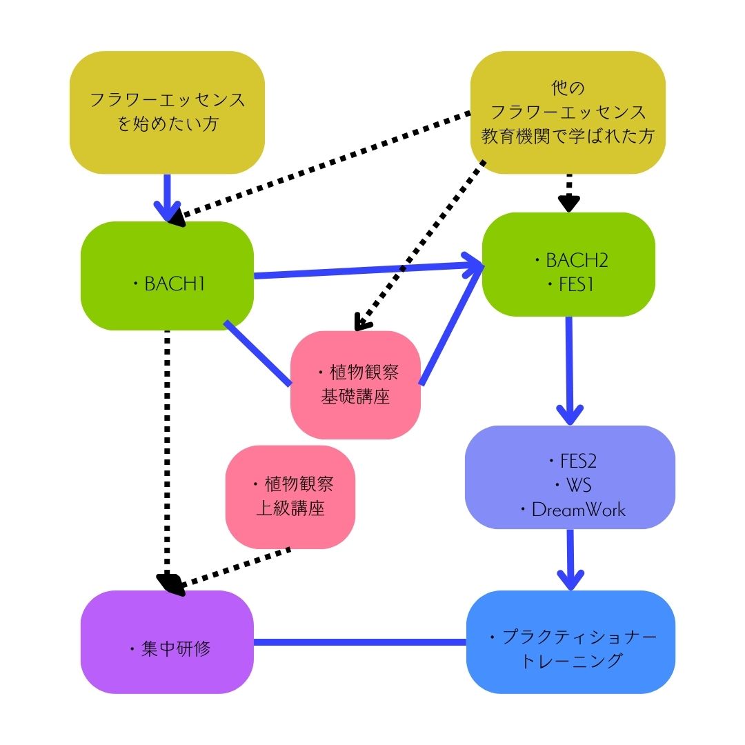 飛ぶフラワーエッセンス教室・学びの流れ