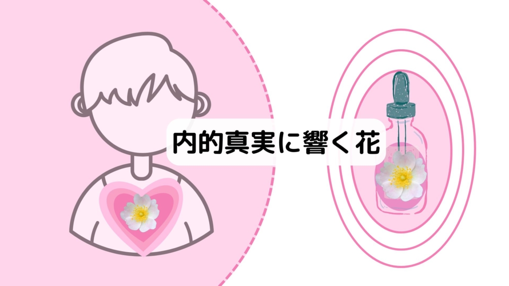 内的真実に響く花