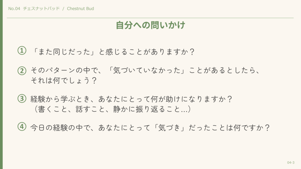 チェスナットバッド・自分への問いかけ