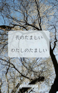 花のたましい・わたしのたましい