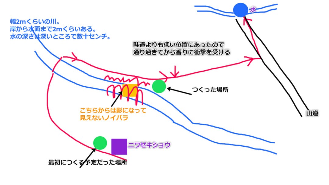 フラワーエッセンスをつくる経験