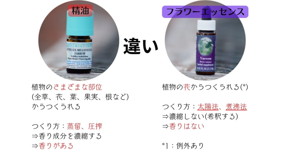 フラワーエッセンスとアロマ(精油)の違い