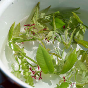 煮沸法