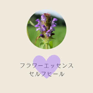 フラワーエッセンス・セルフヒールと共鳴する心