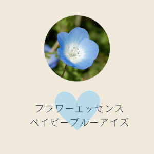 ベイビーブルーアイズ(ベビーブルーアイズ)と共鳴する心
