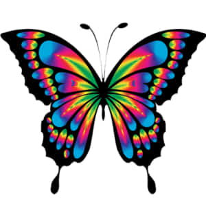 アートの極