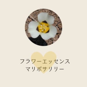 フラワーエッセンス・マリポサリリーと共鳴する心