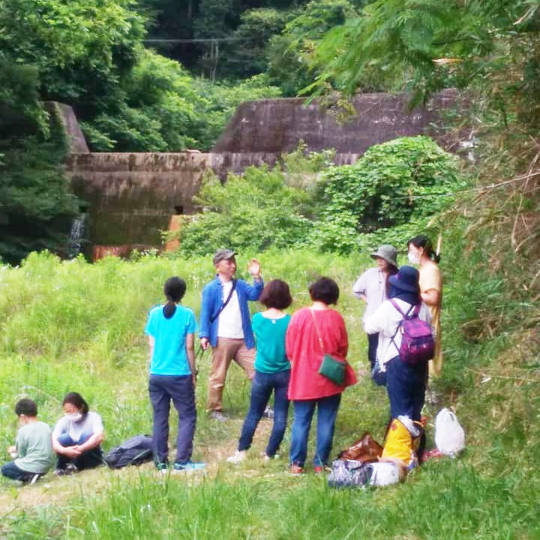 現地に行ってウツボグサを確認